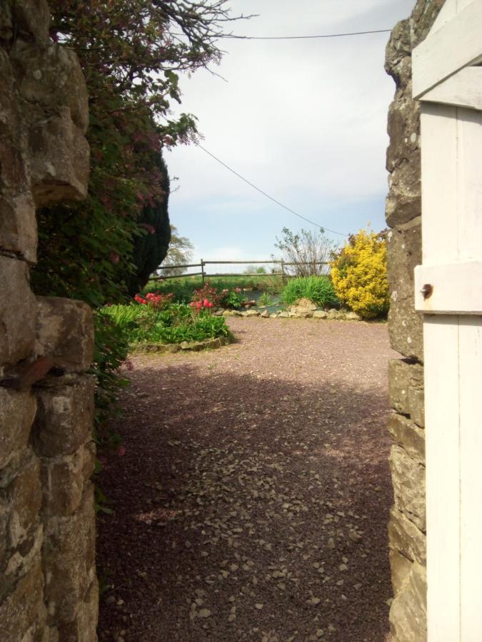 Elevage De La Hurie Saint-Nicolas-de-Pierrepont 外观 照片