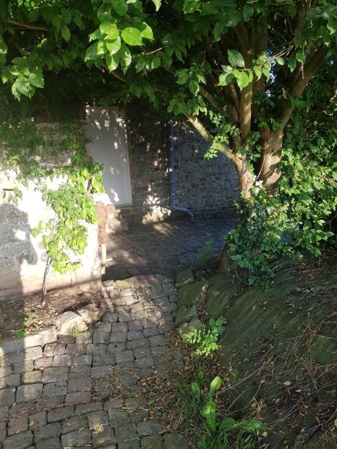 Elevage De La Hurie Saint-Nicolas-de-Pierrepont 外观 照片